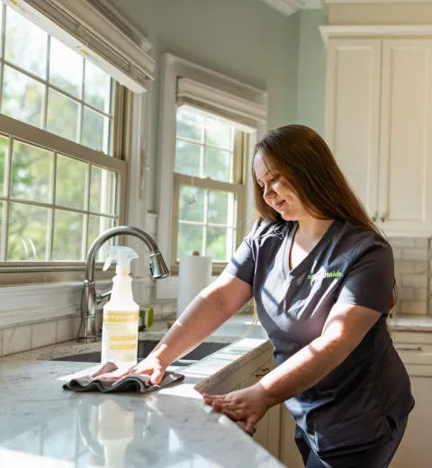 Team Member Cleaning Kitchen Counter