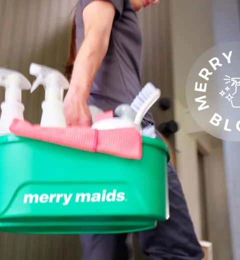 Cleaning tote