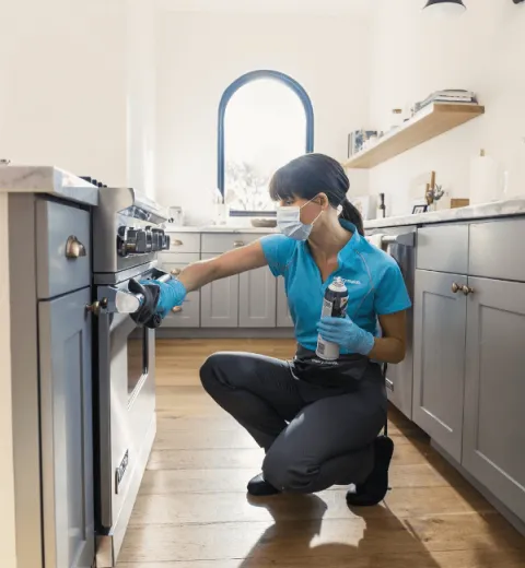 Merry Maid Cleaning Oven
