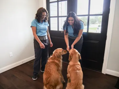 Merry Maids greeting goldens