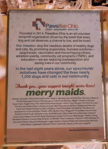 Pawsitive Hope-3