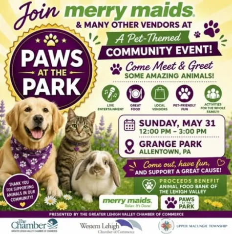 Paws in the park
