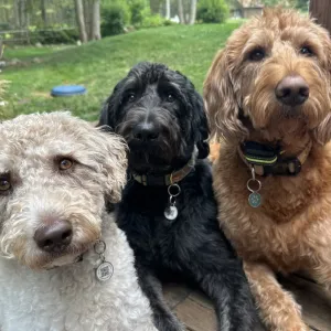 Meet our Customer Service Representatives! 