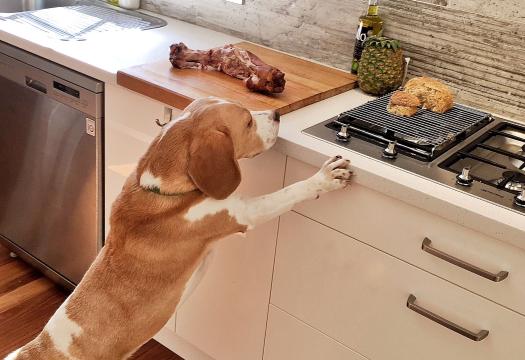 Best Way to Clean Kitchen Cabinets: Expert Tips