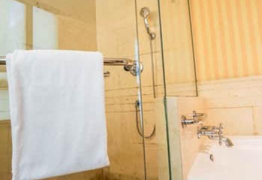 clean shower doors