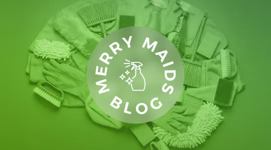 Green cleaning items shaped like a brain