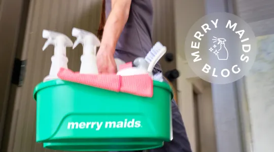 Cleaning tote