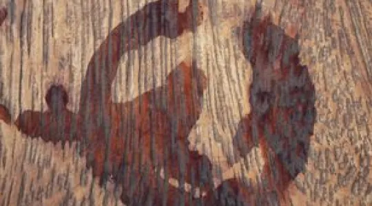 Water stain on wood furniture