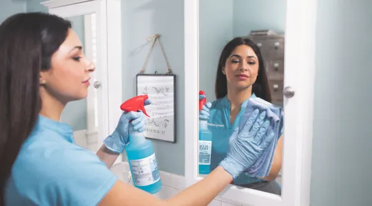 Merry Maids cleaning a bathroom window