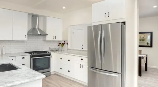 Cleaning Stainless Steel Appliances