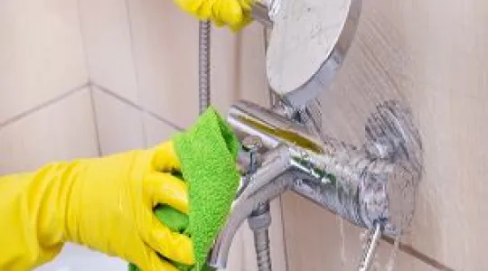 Shower Cleaning Basics
