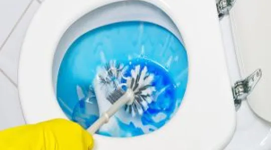 Cleaning a toilet