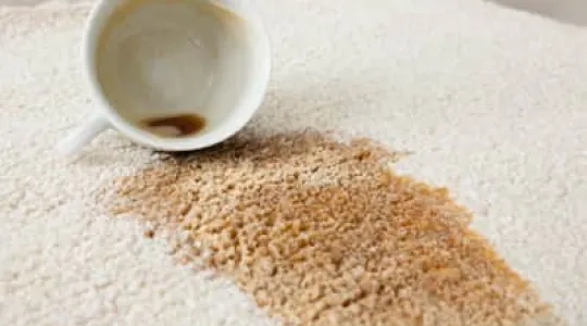 Other uses for garment cleaner