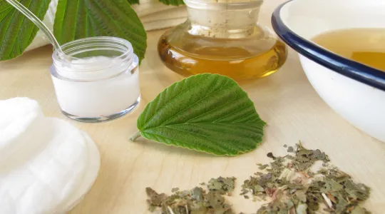 Uses for Witch Hazel