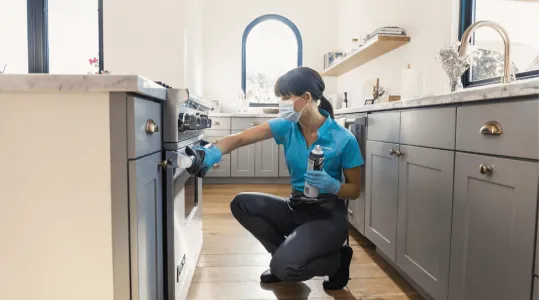 Merry Maid Cleaning Oven