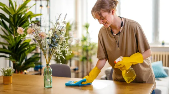 Young smiling woman wiping the dining table surface using a cloth and a spray bottle | Merry Maids