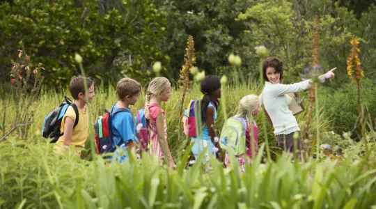 Young teacher with children on nature field trip | Merry Maids