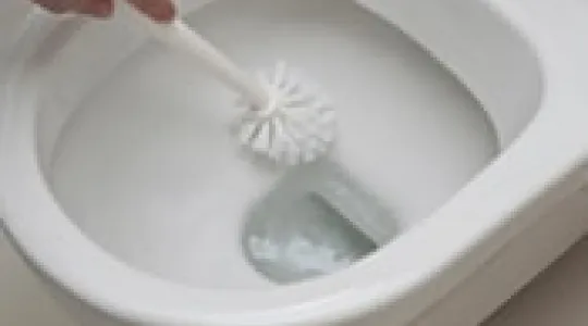 Removing Toilet Bowl Ring