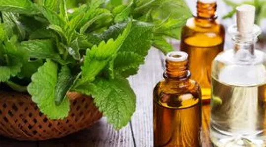 Herbs and bottles of oils