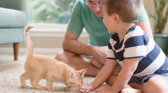 Family with new pet kitten