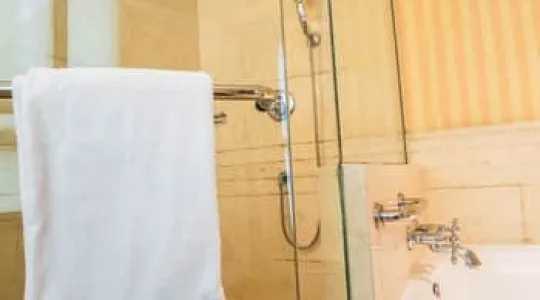 clean shower doors