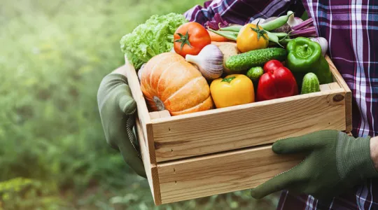 Person holding crate of fruits and veggies | Merry Maids
