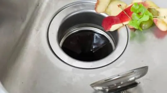 clean garbage disposal