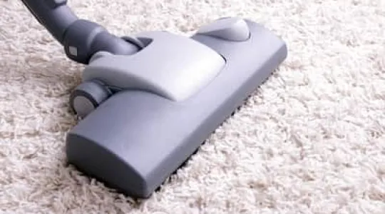 best way to clean vomit out of carpet