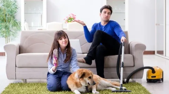 Keep Dog From Tracking Dirt