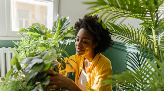 Young African American woman, taking care of her houseplants | Merry Maids