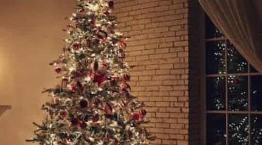 How to take down a Christmas tree