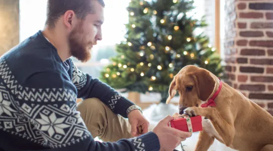 Young man playing on floor with his dog. Giving him gift box. | Merry Maids