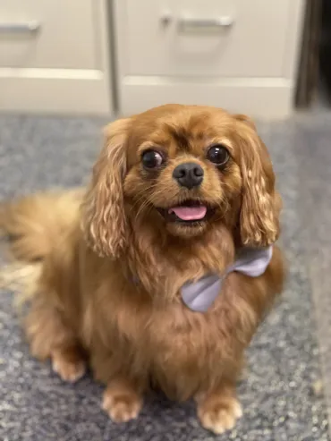 Shay, Chief Barketing Officer