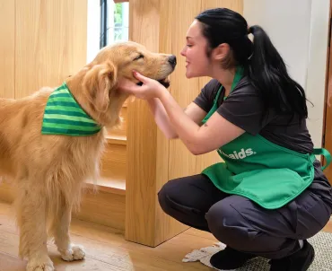 merry maids playing with a client's pet