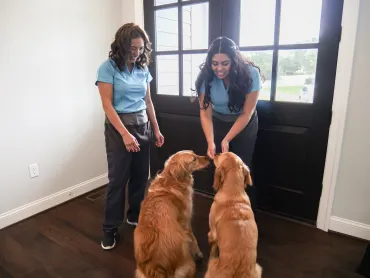 Merry Maids greeting goldens