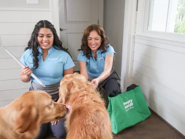 Merry Maids playing with dogs