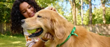 dog and person