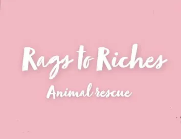 Rags to Riches