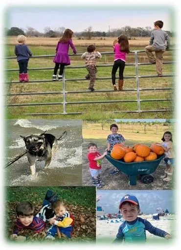 Fall Fun